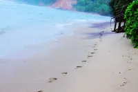 We Are Surfers hotel