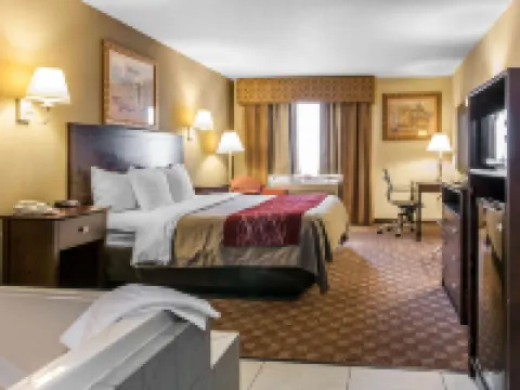 クオリティ イン ディファイアンス ディファイアンスのホテル