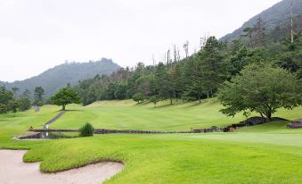 Village Forest Myoken