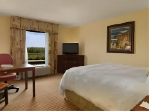 Hampton Inn & Suites Tampa-Wesley Chapel