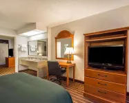 Quality Inn & Suites at Tropicana Field Hotels in St. Petersburg