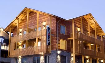 Levi Suites Levi Gold