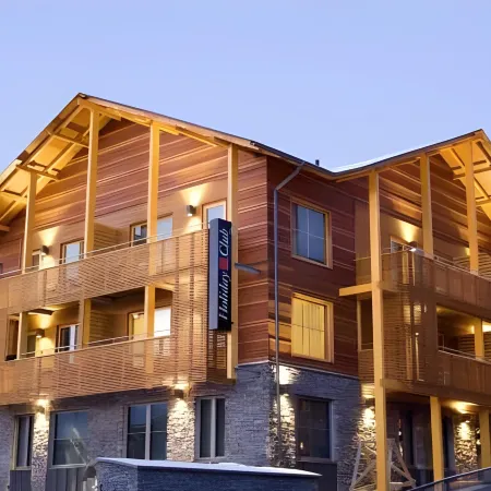 Levi Suites Levi Gold