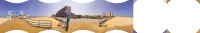 Fairfield Inn & Suites Virginia Beach Oceanfront