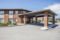 舒適飯店