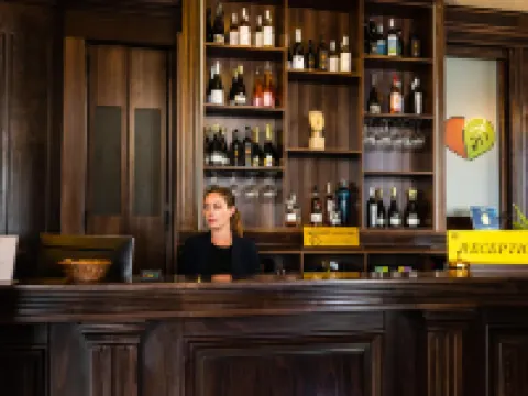 Daily Plaza Hotel Hotels in Suceava
