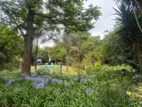 Busa House Self Catering guest house