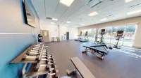 Holiday Inn Express & Suites CHICAGO SCHAUMBURG by IHG - Gym