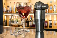 Holiday Inn PERPIGNAN by IHG - bar