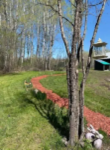 Forest Side Solar Powered Cabin with Nature Trails