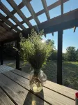 Peace and quiet in a fully equipped cabin nestled in the woods of the ADKs.
