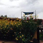 Modern and Private House Downtown,  5 minute walk to center of Moab happenings!