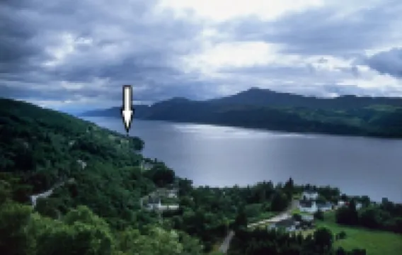 Lovely foresters cottage, amazing Loch Ness views, private beach, pets welcome