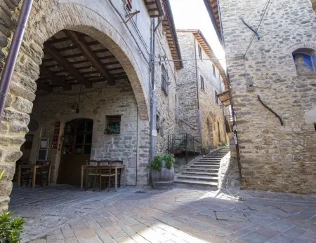 SCAPPO IN UMBRIA, Grechetto