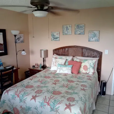 Studio apt. with A/C, Fridge, Semi-Private pool in the Center of kihei
