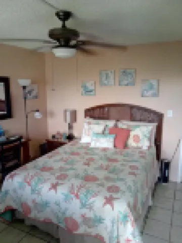 Studio apt. with A/C, Fridge, Semi-Private pool in the Center of kihei