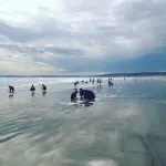 Cosy retro weekender with far-reaching views Hotel a Goolwa Beach