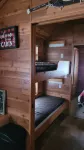Petoskey - Quaint Cabin in a secluded wooded setting.