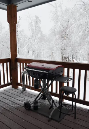 Charming house in Wasilla Отели в г. Найк-Фэрвью