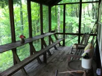 Secluded Cabin Nestled In The Trees Overlooking Fishing & Canoe Pond