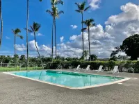 Incredible View in Hilo - Pool, A/C, Remodeled #708
