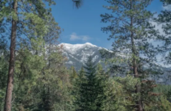 Deer Cabin at Glacier Hidden Cabins near Glacier National Park