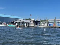 Cozy Cottage - River House - Kayaks - SUP - Relax & Recharge