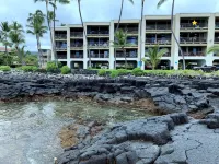 Exceptional Oceanfront Luxury Condo - Fully updated, AC, Top Floor, Quiet Hotels in Holualoa