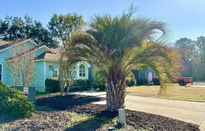 🌴 Private HOT TUB & Parking 🌴6 mi to Historic Downtown Charleston, 2 mi to Beach Hotels near Men's Wearhouse