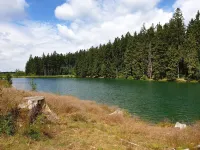 Apartment / Monteurzimmer