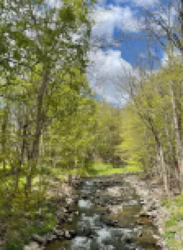 Magical Home Located in Windham and Catskills