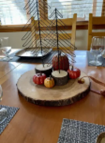 North GA Mountain Paradise Natural Swimming Pool and Stream