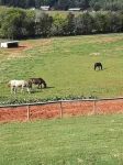 Sweetwater Stables & Farm