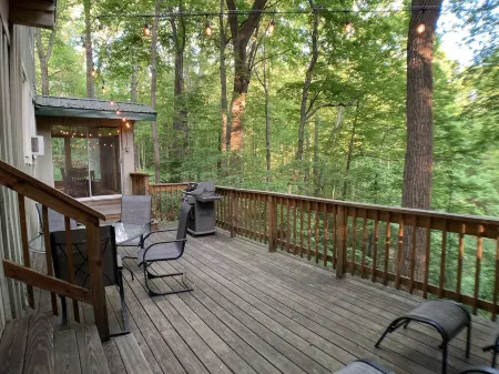 Treetops Cabin in the Woods!