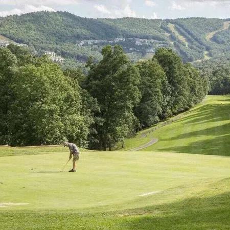 Game Room~Grill~Screen Porch~Fireplace~Top of Mountain~Walk to Most Amenities