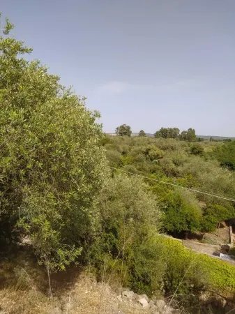 Olea House located in the countryside and close to everything you want.