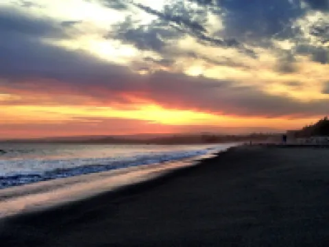 Cozy retreat near woods and sea Hotels in Aptos