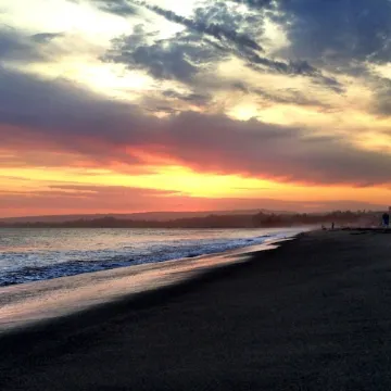 Cozy retreat near woods and sea