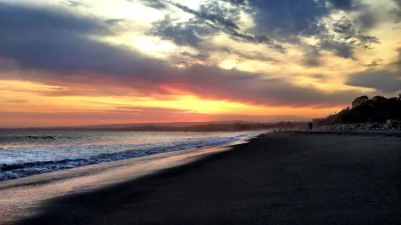 Cozy retreat near woods and sea