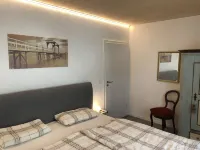 Cozy barrier-free FEWO in new building directly between vineyards and the Main river Hotels in Segnitz