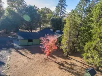 Sugar Pine Cabin 2BD 2BTH - Jacuzzi - KING Beds