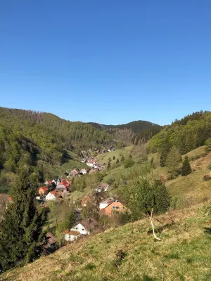 Holiday apartment Obereharzstrasse Hotels near Lidl