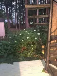 Peaceful Retreat on the Eastern Shore. Nature lover’s paradise!