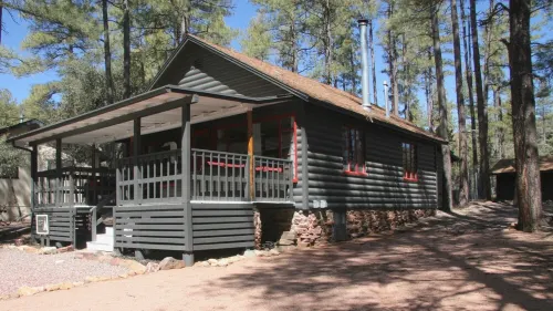 Cozy Cabin in the tall Pines! True mountain cabin vibes!