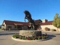 Tiny Home Getaway in Arizona-Mountain views in Rural Area
