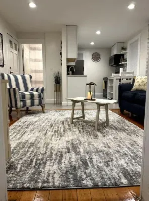 Down Town Salem brand-new 1bdr apt