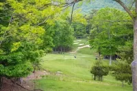 Pet Friendly-Mountain Getaway-Close 2 Everything