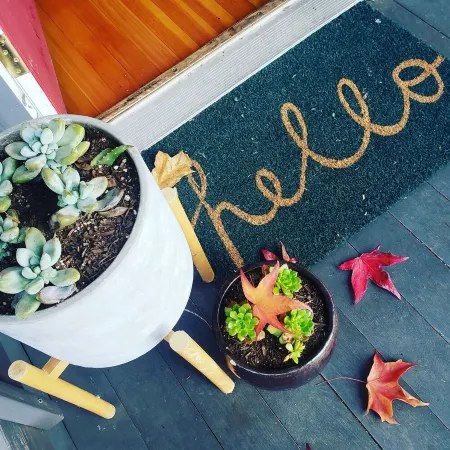 The Urban Boho Charmer with Private Backyard, BBQ & Hammock