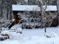 Wrightwood Cozy Cabin near Mt. High
