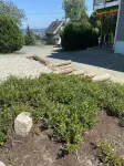 Ocean view 4 br, huge deck with grill, walk to town, pet friendly locally owned